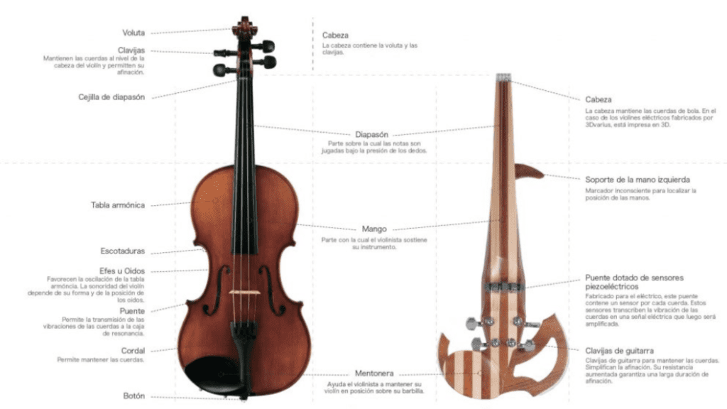 vestíbulo Con rapidez Sin Diferencias entre violines acústicos y eléctricos