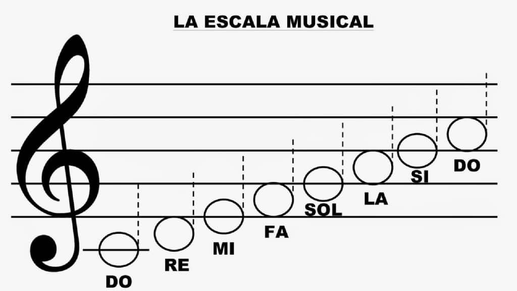 La altura de las notas