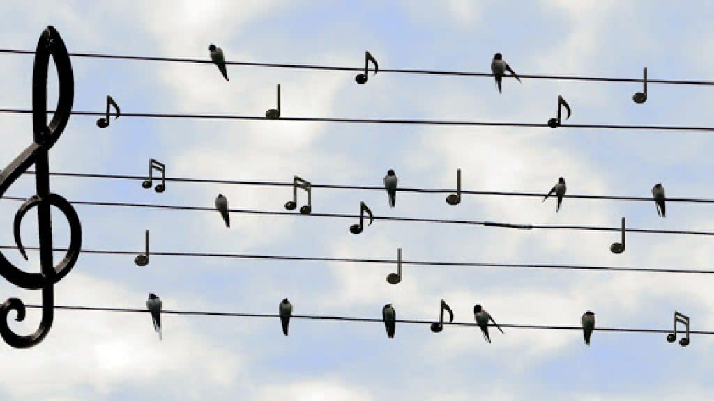 La música para ser feliz