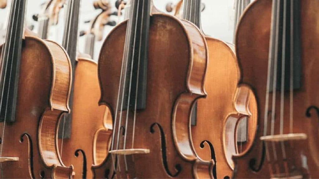 Descubre las diferencias entre el violín y el cello
